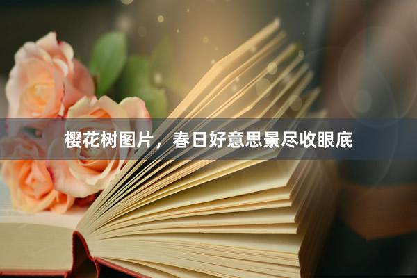 樱花树图片，春日好意思景尽收眼底