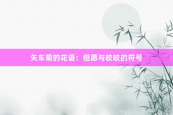 矢车菊的花语：但愿与皎皎的符号
