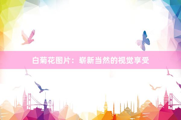 白菊花图片:崭新当然的视觉享受